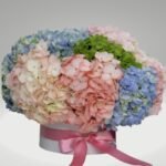 RAMO HORTENSIAS DIA DE LA MUJER