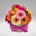 GERBERAS MULTICOLORES EN CALI